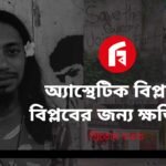 অ্যাস্থেটিক বিপ্লবী, বিপ্লবের জন্য ক্ষতিকর