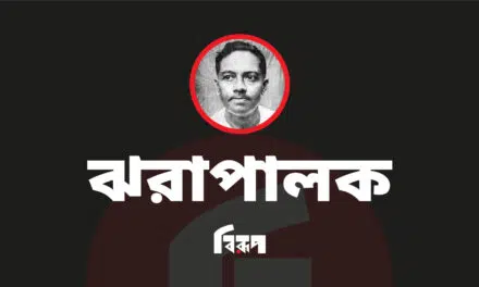 ঝরাপালক